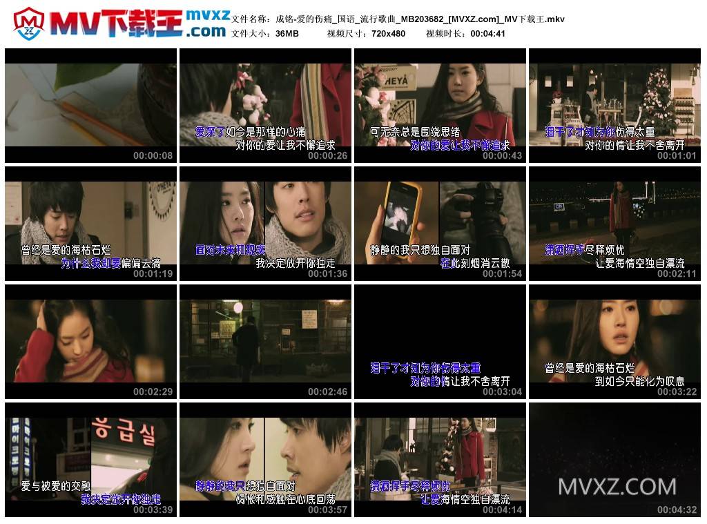 成铭-爱的伤痛_国语_流行歌曲_MB203682